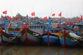 Renforcement de la sensibilisation sur la lutte contre la pêche INN à Quang Ngai