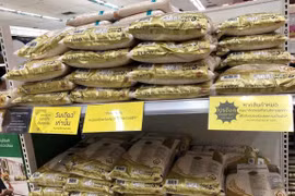 Thaïlande : les exportations de riz bénéficient d'un coup de pouce en raison du COVID-19