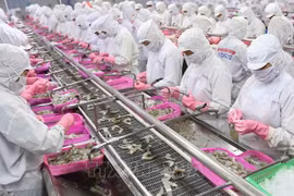 Le Vietnam et la Chine stimulent le commerce des produits aquatiques