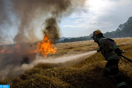 Feux de forêt: près de 19.000 points chauds localisés en Asie du Sud-Est et en PNG