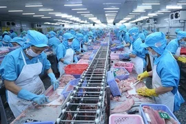 Produits aquatiques : les exportations au premier semestre en légère hausse