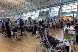 COVID-19 : Des centaines de Vietnamiens rapatriés de République de Corée et de Singapour