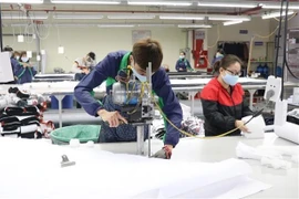 Le Vietnam cherche à profiter de l'EVFTA pour stimuler les exportations vers les Pays-Bas