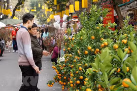 Les ambassadeurs de plusieurs pays adressent leurs vœux du Têt aux Vietnamiens