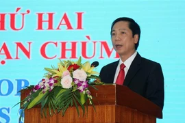 Séminaire sur les enquêtes sur les restes d'armes à sous-munitions à Quang Tri