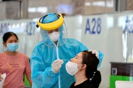 COVID-19: Les fiches de résultat des tests rapides pour les entrées au Vietnam désormais en bilingue