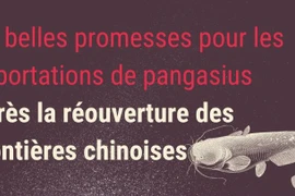 De belles promesses pour les exportations de pangasius après la réouverture des frontières chinoises