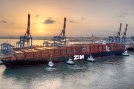 ​La crise de COVID-19 affecte les exportations du Vietnam vers Israël