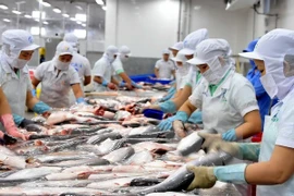 Douze entreprises vietnamiennes autorisées à exporter des produits aquatiques vers l’Arabie saoudite