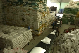 Riz: opportunités pour le Vietnam de maintenir les exportations stables vers les Philippines