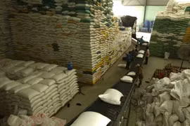 Riz: opportunités pour le Vietnam de maintenir les exportations stables vers les Philippines