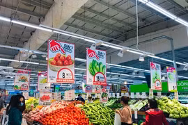 GO!/Big C devrait vendre environ 70 tonnes de produits agricoles de Hai Duong