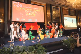 Des ambassades du Vietnam fêtent le Têt du Rat 2019