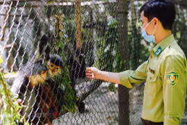 Centre de sauvetage et de conservation des espèces sauvages précieuses de Cuc Phuong