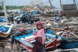 La Nouvelle-Zélande accorde un million de dollars au redressement indonésien après le tsunami