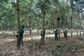 Le Vietnam investit dans 190 projets au Cambodge