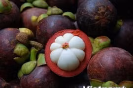 Les exportations de fruits et légumes en hausse de 10,3% en cinq mois