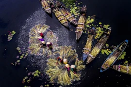 La beauté des quatre saisons dans la province de Long An 