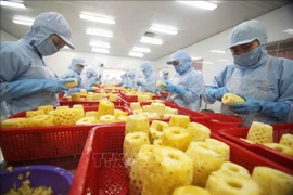Presse malaisienne : les exportations de fruits vietnamiens en plein essor