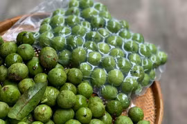 Vingt-deux tonnes de fruits de pancovier congelés sont exportés en Australie