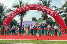 EVFTA : 126 tonnes de riz parfumé du Vietnam exportées vers l’Union européenne