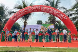 EVFTA : 126 tonnes de riz parfumé du Vietnam exportées vers l’Union européenne
