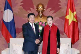 L’Assemblée nationale vietnamienne soutient la coopération gouvernementale Vietnam-Laos