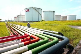 Résultats encourageants du groupe PetroVietnam