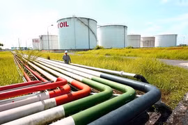 Résultats encourageants du groupe PetroVietnam