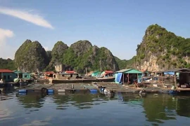 Cai Beo - le plus ancien village de pêcheurs du Vietnam