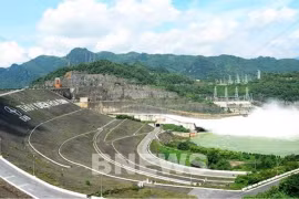 Électricité: EVN envisage d’accomplir 256 projets en 2021