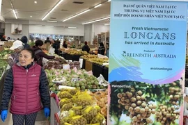 Une journée des longanes vietnamiens frais en Australie