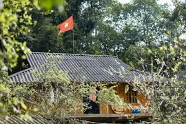  Le "paradis blanc" au village de Phieng Bang, à Dien Bien (29/2)