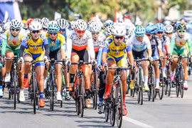 Les sportifs nationaux se préparent activement pour les SEA Games 31