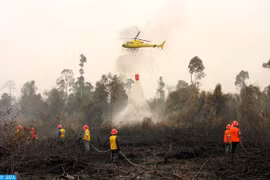 Les feux de forêt en Indonésie étouffent la Malaisie et Singapour