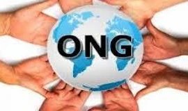 Intensification de la coopération entre le Vietnam et les ONG étrangères