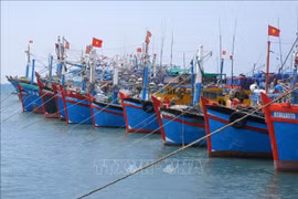 Pêche INN : le Vietnam poursuit l’objectif de développer durablement la pêche