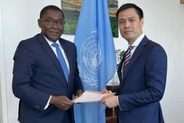Les Nations Unies soutiennent le Vietnam dans sa transition énergétique