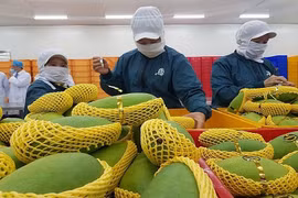 Les exportations de fruits et légumes devraient atteindre quatre milliards de dollars en 2021