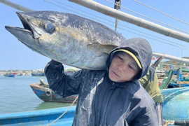 Efforts continus du Vietnam contre la pêche INN