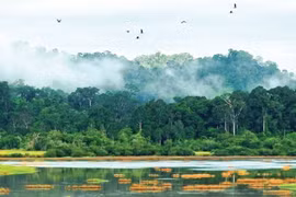 Le parc national de Cat Tien rejoint la Liste verte de l'UICN
