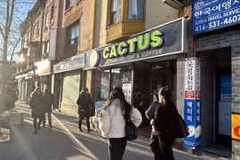 Un magasin de thé et de café vietnamiens à Toronto, au Canada. Photo: VNA