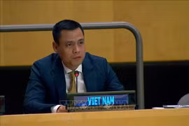 L'ambassadeur Dang Hoang Giang, représentant permanent du Vietnam auprès de l'ONU. Photo : VNA