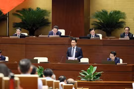 Le ministre des Ressources naturelles et de l’Environnement Dang Quoc Khanh à la séance de questions et réponses de l'Assemblée nationale. Photo: VNA