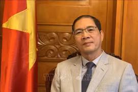 L’ambassadeur du Vietnam en Bulgarie, Do Hoang Long. Photo: VNA