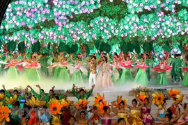 Ouverture du Festival des fleurs de Da Lat 2019