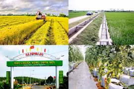 Nouvelle ruralité : 4.402 communes du pays satisfont aux normes