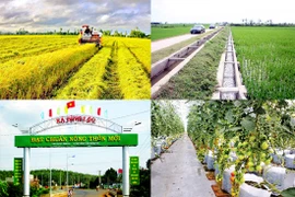 Nouvelle ruralité : 4.402 communes du pays satisfont aux normes