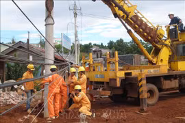 Dak Nong : Amélioration du réseau électrique à la province de Mondulkiri (Cambodge)