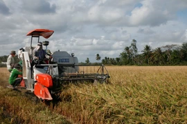 De nombreux contrats d'exportation de riz ont été signés